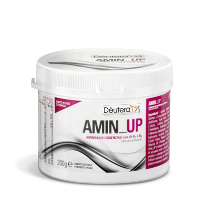 Βασικά Αμινοξέα με Βιταμίνες Β1 & Β6 – AMIN UP